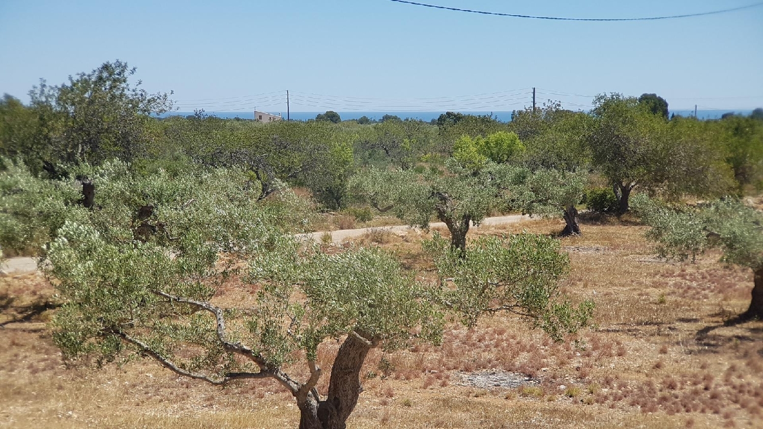  te koop boerderij L'ametlla De Mar Baix Ebre 5