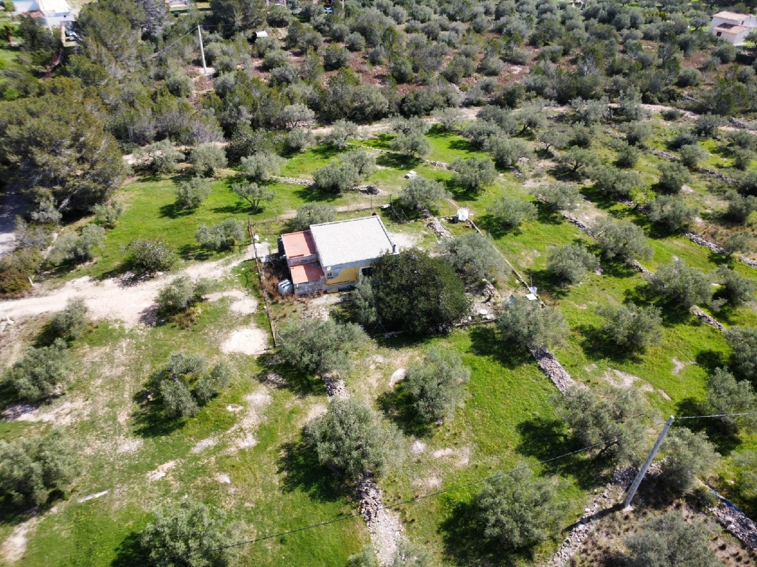  till salu hus på landet L'ametlla De Mar Baix Ebre 2