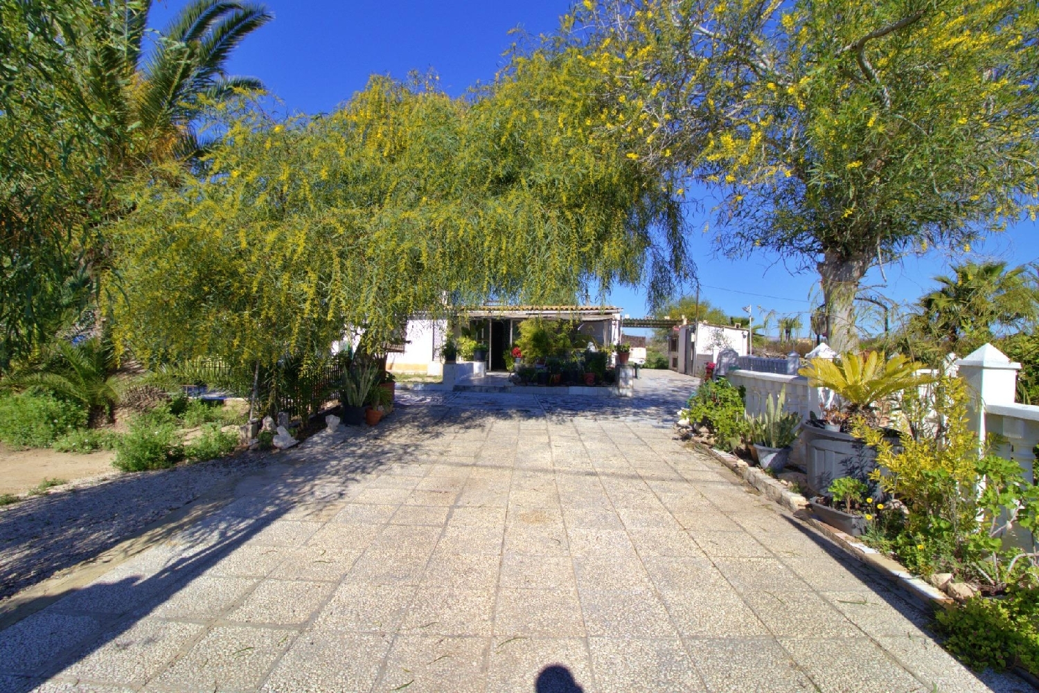  kaufen Landhaus Las Bayas Baix Vinalopó 3