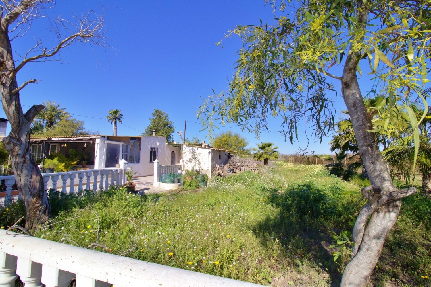  kaufen Landhaus Las Bayas Baix Vinalopó 4