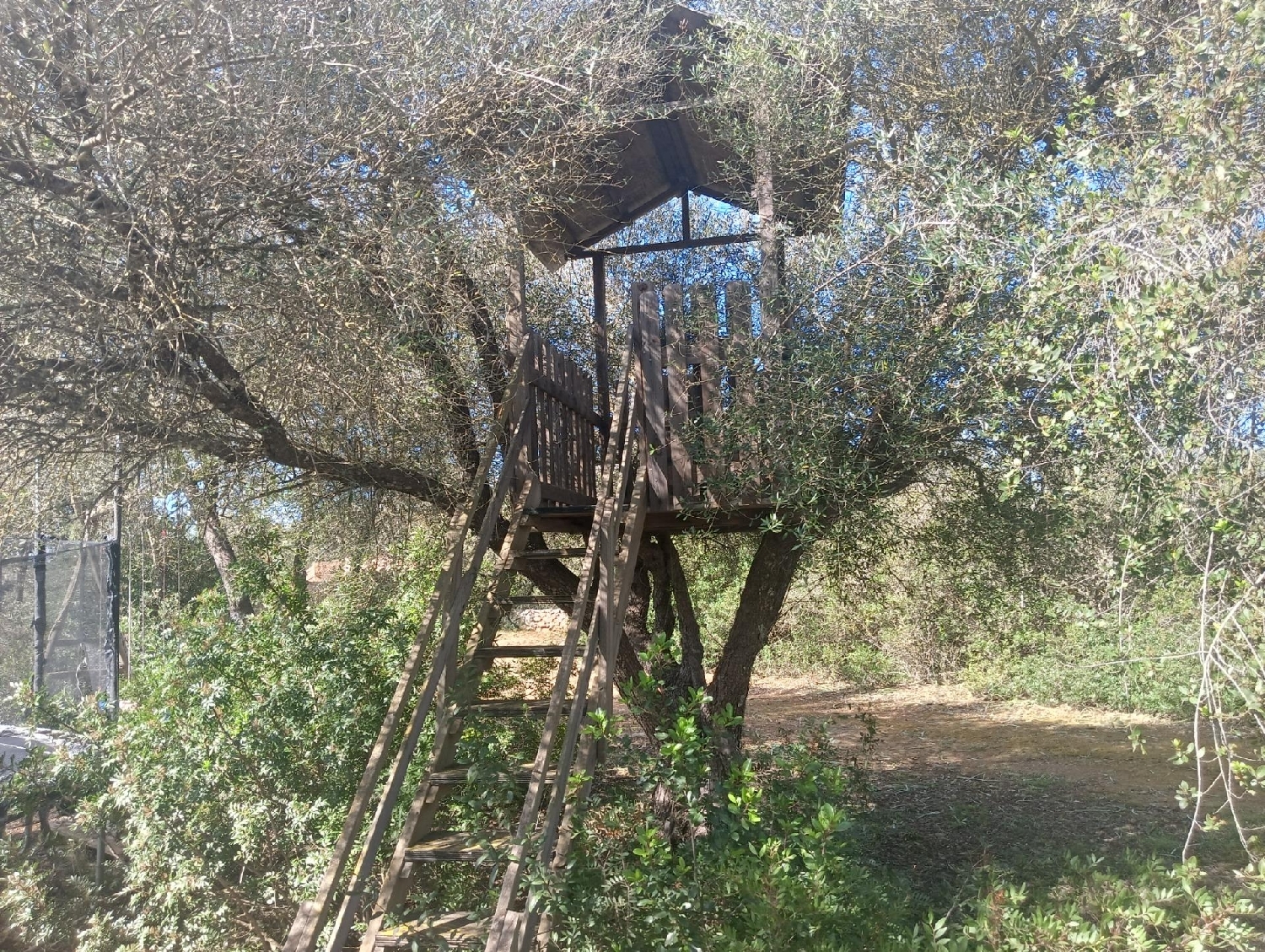  en venta finca rústica Manacor Llevant 8