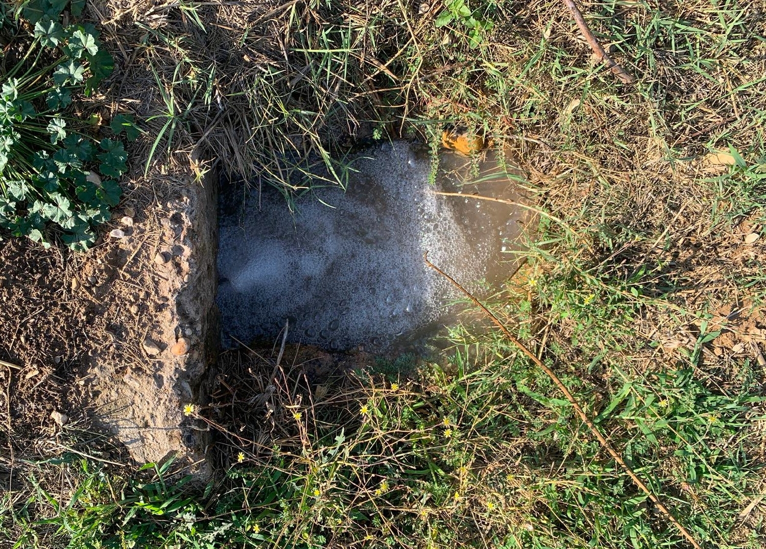  kaufen Landhaus Mazaleón Matarraña 11