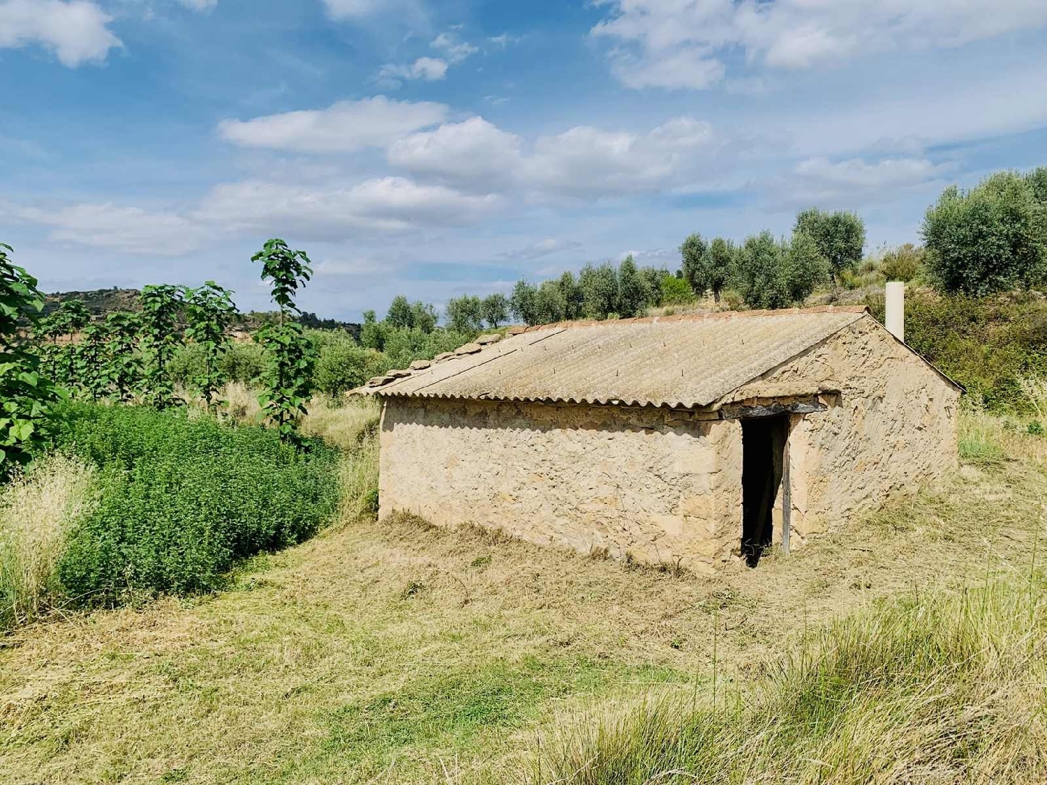  kaufen Landhaus Mazaleón Matarraña 4