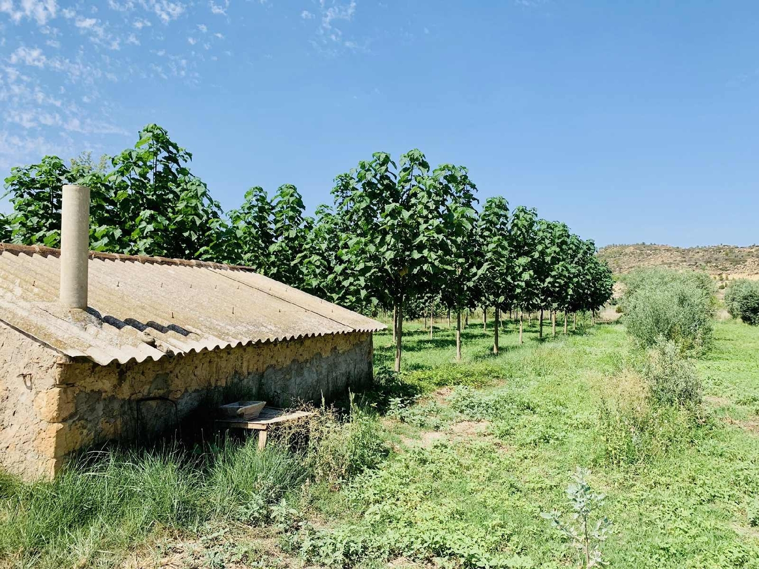  kaufen Landhaus Mazaleón Matarraña 7