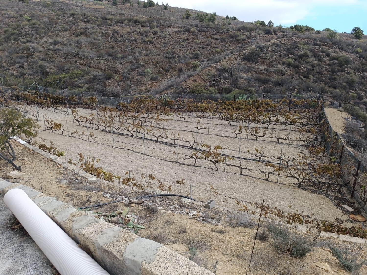  for sale country house Mazaricos Xallas 3