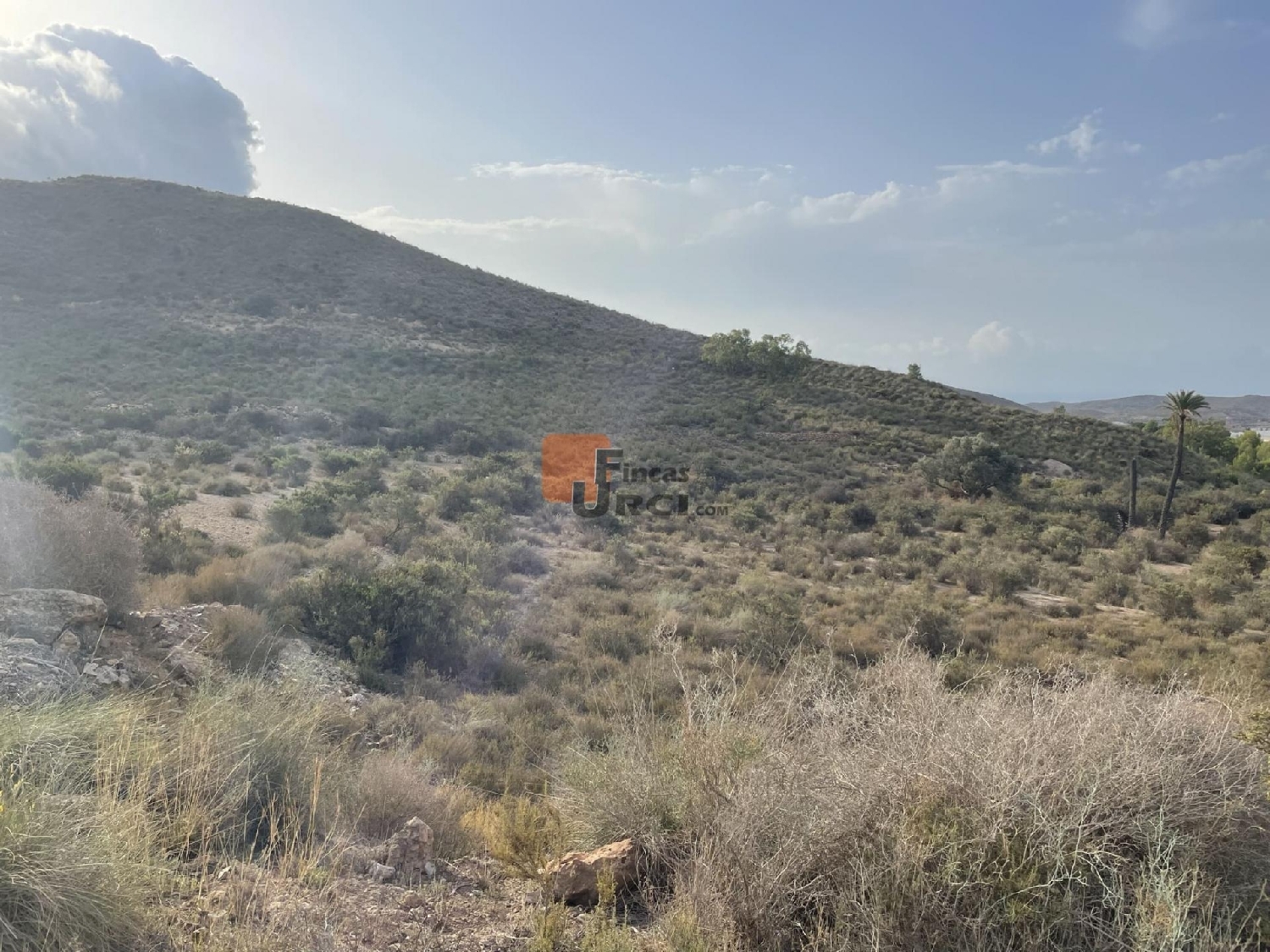  till salu hus på landet Mazarrón Bajo Guadalentín 7