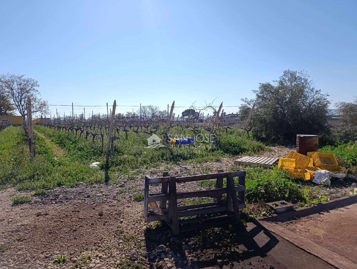  till salu hus på landet Novelda Vinalopó Mitjà 8