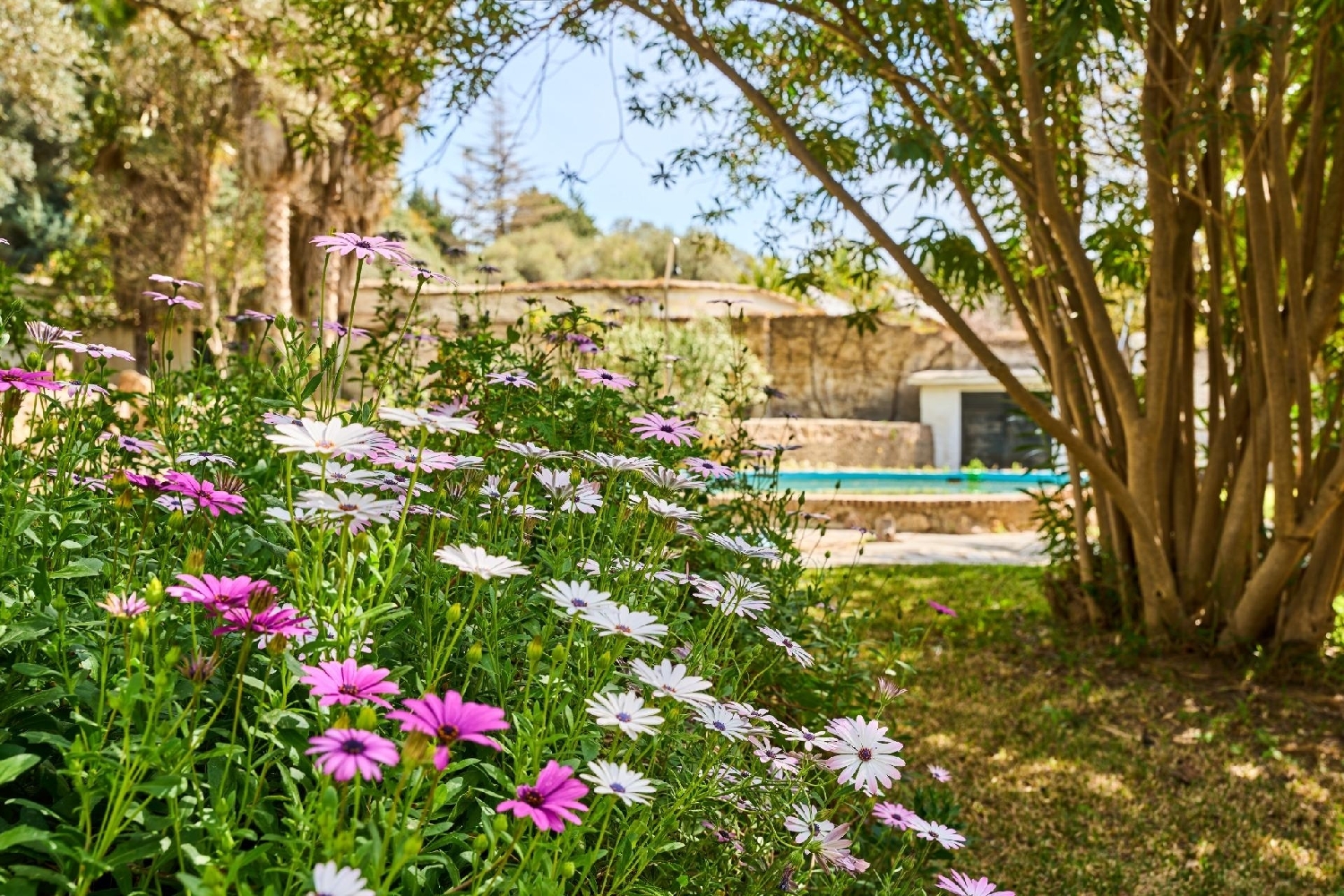  till salu hus på landet Órgiva Alpujarra Granadina 5