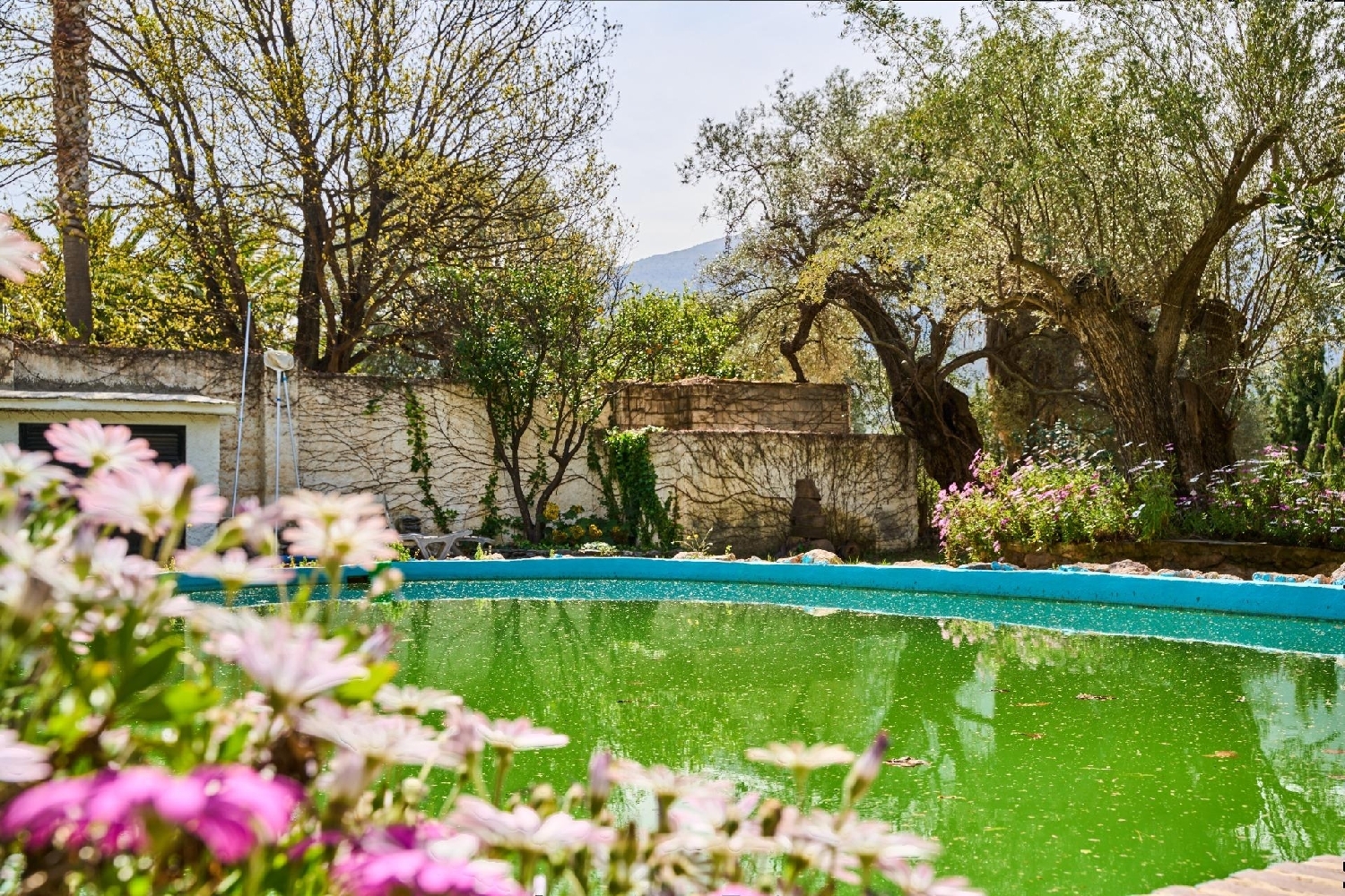  till salu hus på landet Órgiva Alpujarra Granadina 3