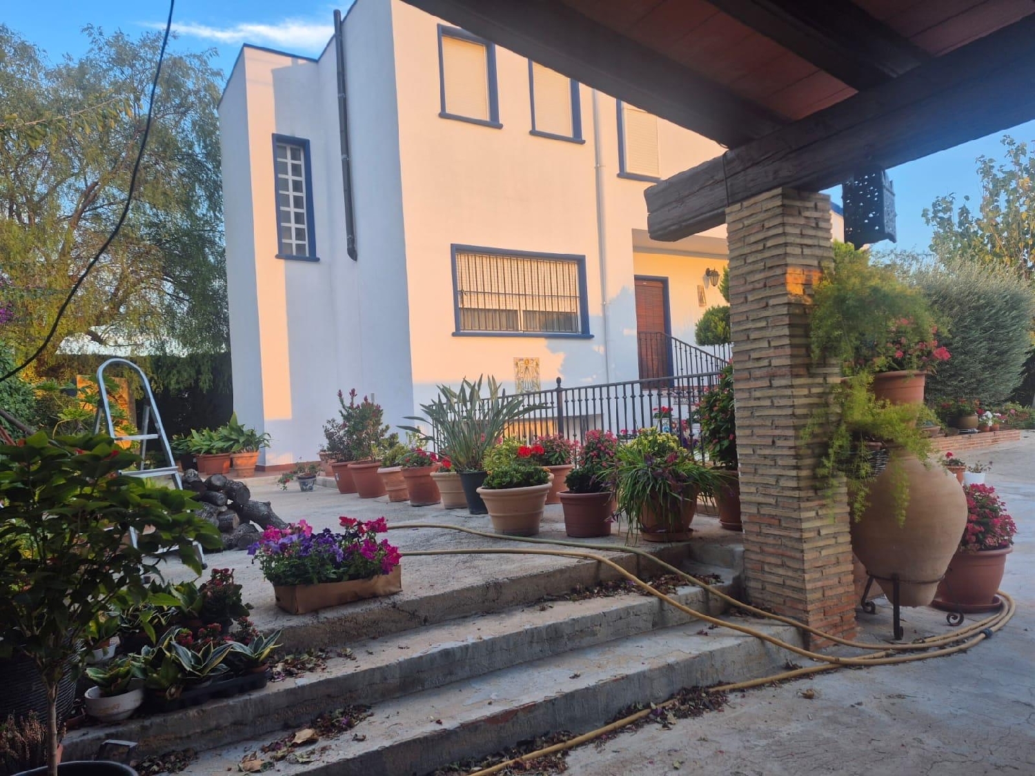  till salu hus på landet Orihuela Baix Segura 2