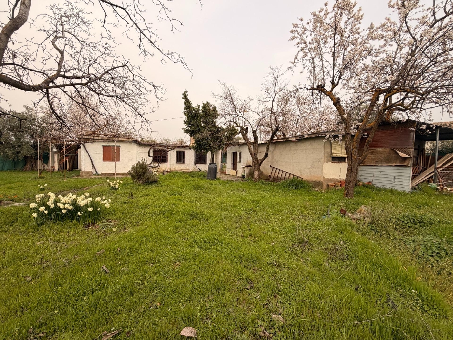  for sale country house Otura Vega De Granada 2