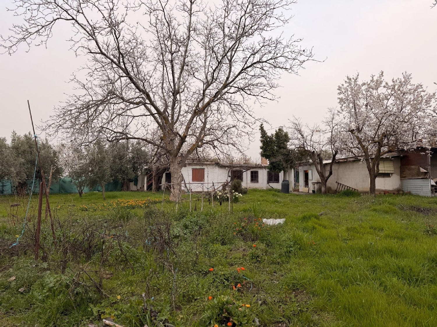  for sale country house Otura Vega De Granada 1