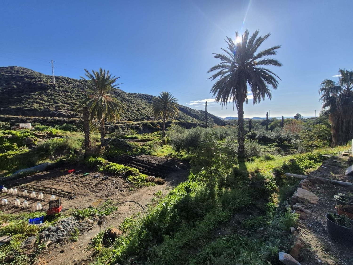  à vendre maison de campagne Pulpí Levante Almeriense 1