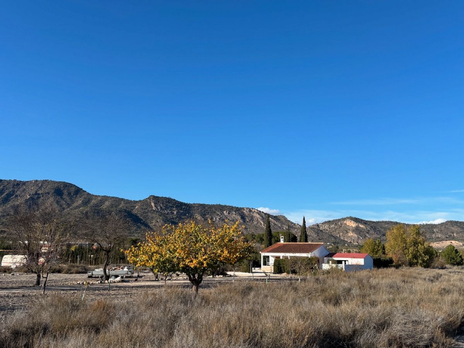  en venta finca rústica Salinas Alt Vinalopó 24