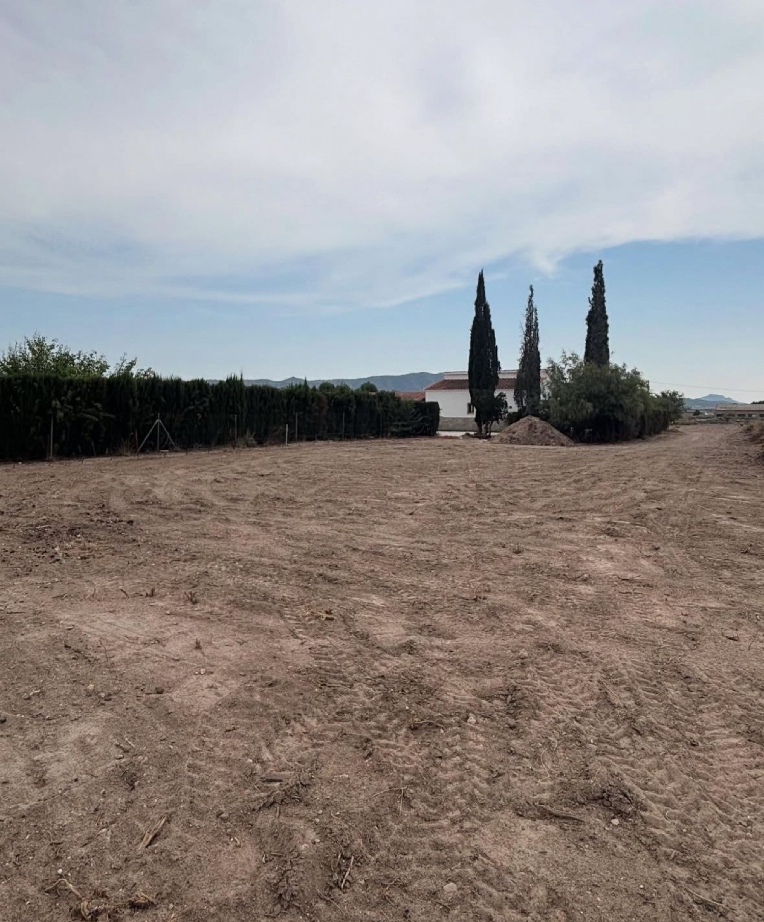  en venta finca rústica Salinas Alt Vinalopó 23