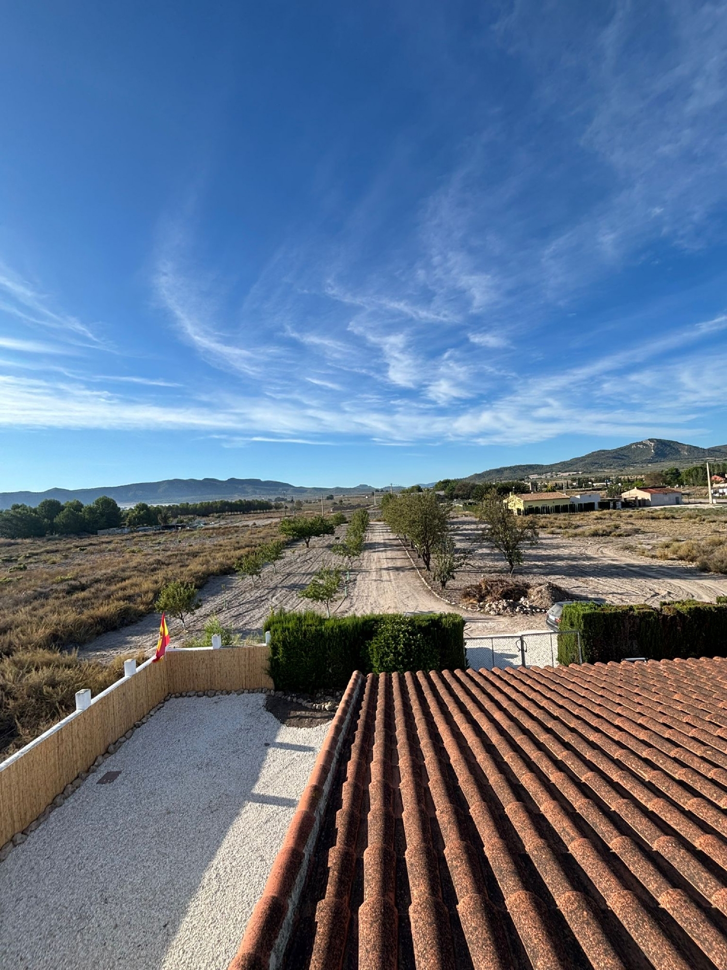  en venta finca rústica Salinas Alt Vinalopó 7