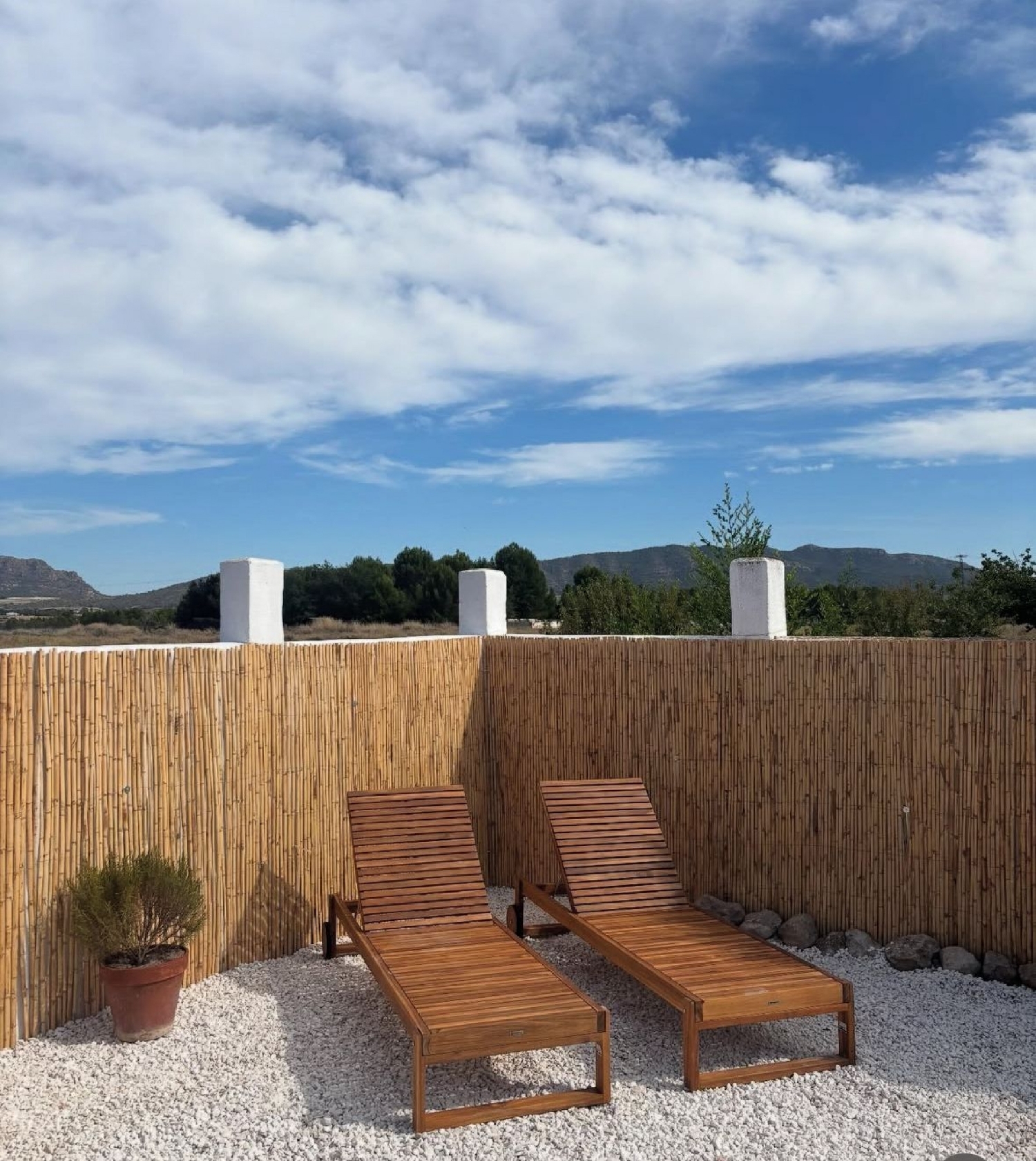  en venta finca rústica Salinas Alt Vinalopó 12