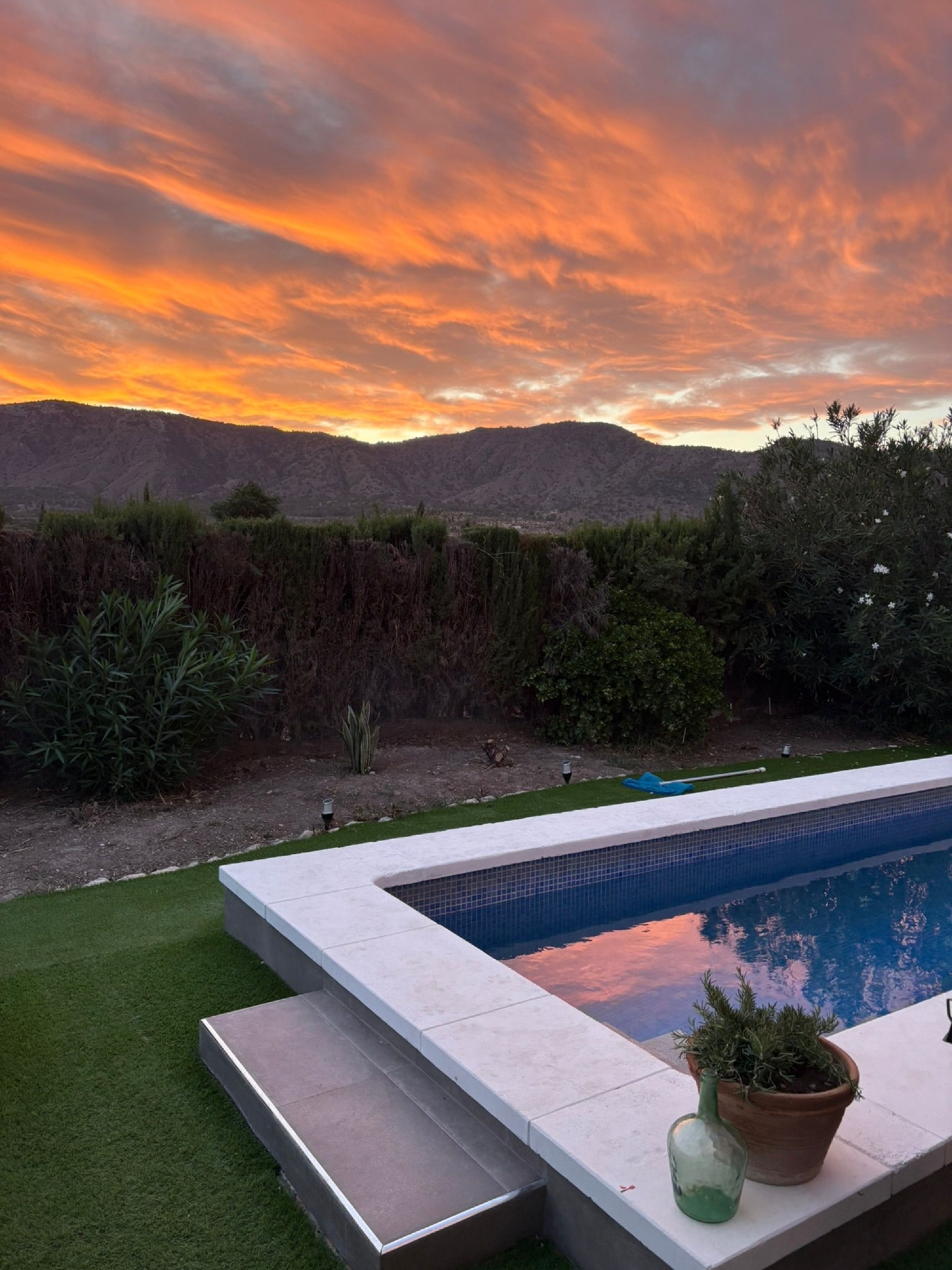  en venta finca rústica Salinas Alt Vinalopó 1