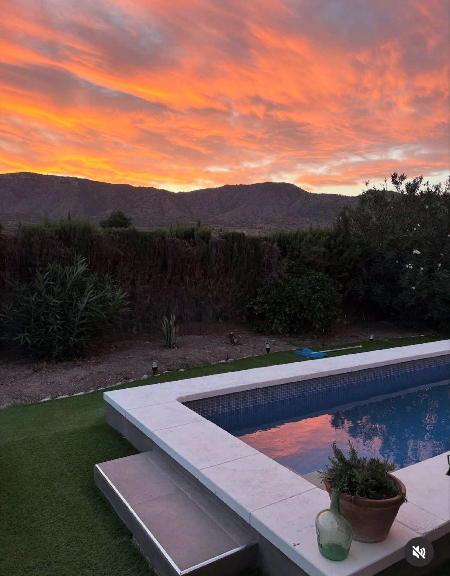  en venta finca rústica Salinas Alt Vinalopó 11