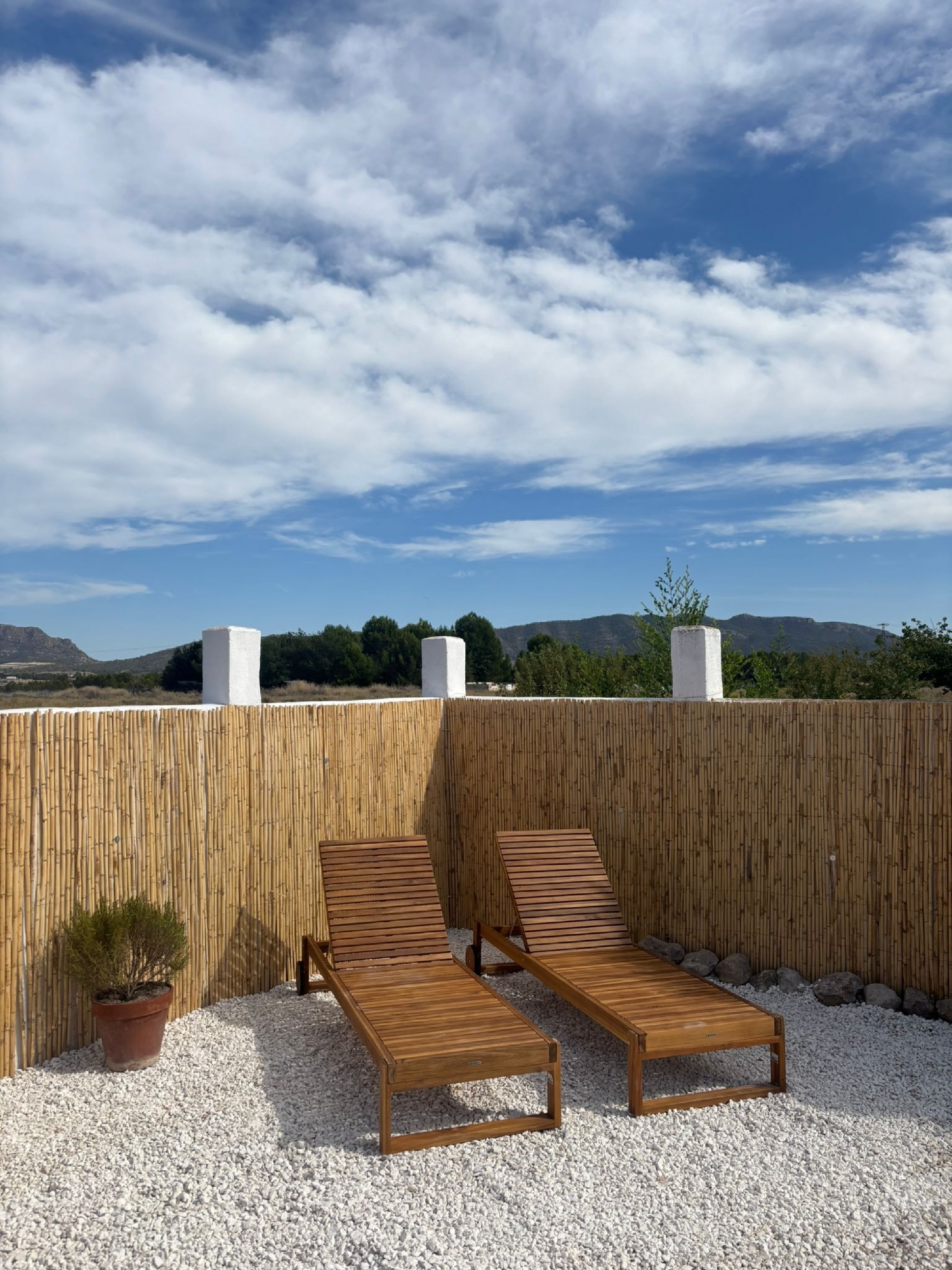  en venta finca rústica Salinas Alt Vinalopó 5