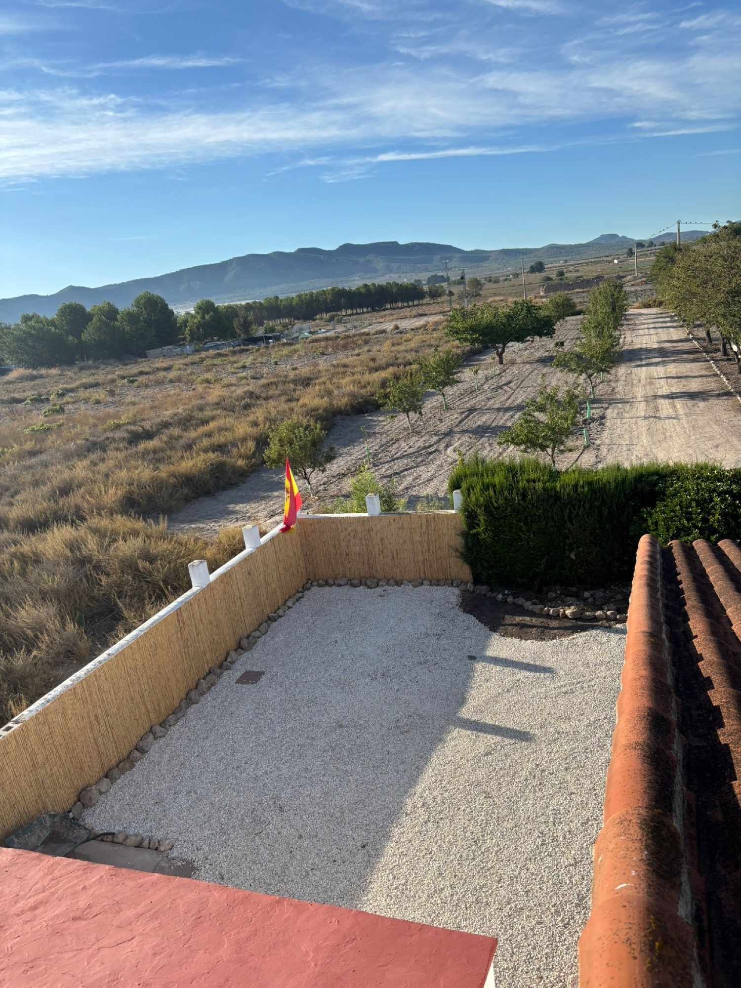  en venta finca rústica Salinas Alt Vinalopó 8