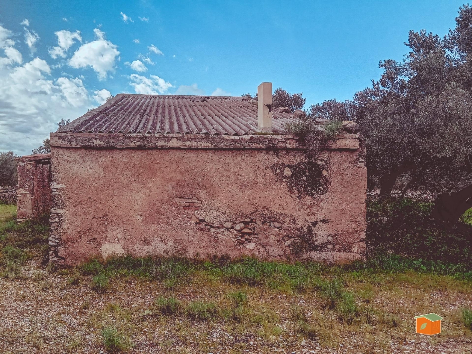  en venta finca rústica Santa Barbara Levante Almeriense 4