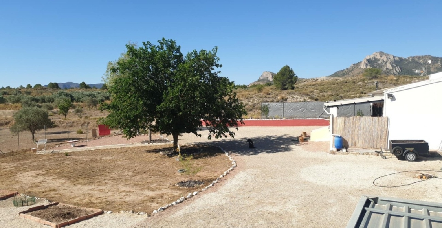  for sale country house Sax Alt Vinalopó 6