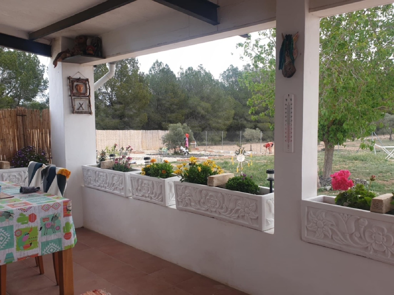  for sale country house Sax Alt Vinalopó 15