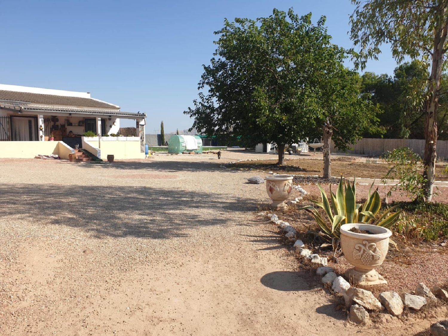  for sale country house Sax Alt Vinalopó 20