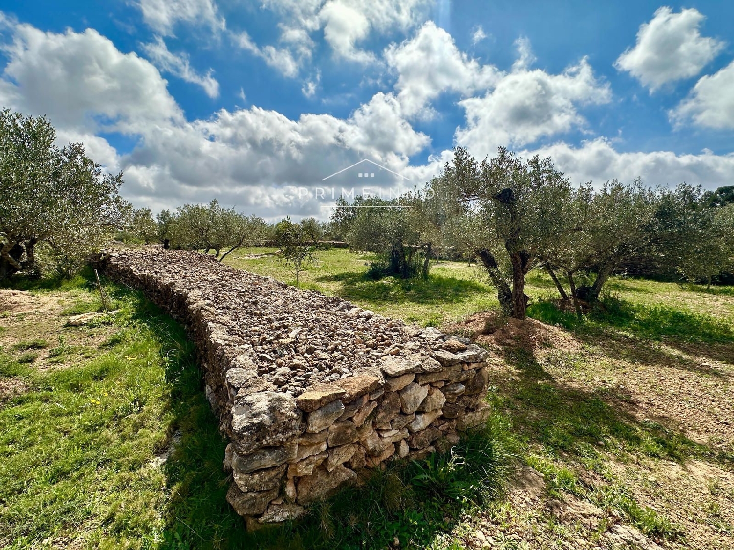  à vendre maison de campagne Tortosa Baix Ebre 16