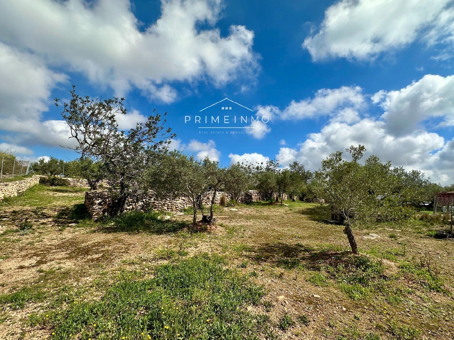  à vendre maison de campagne Tortosa Baix Ebre 15