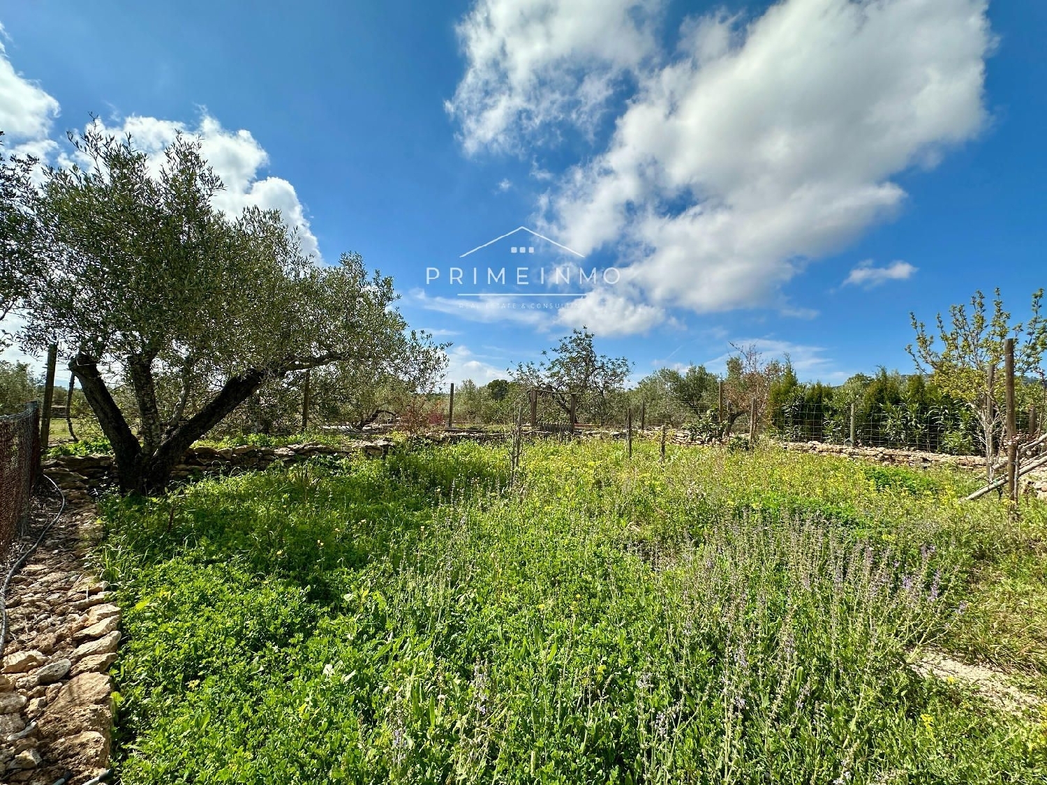  à vendre maison de campagne Tortosa Baix Ebre 12