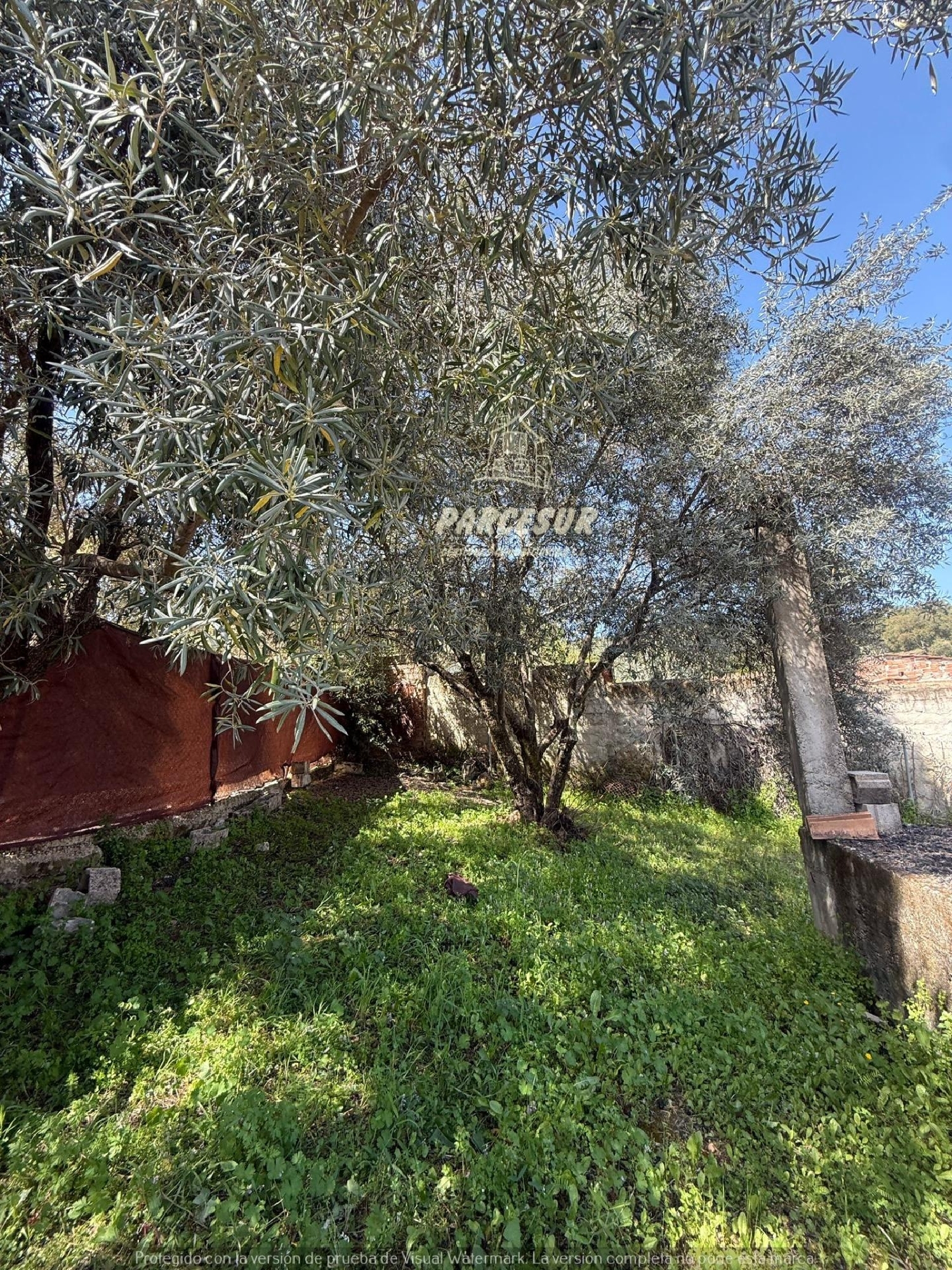  en venta finca rústica Villafranca De Córdoba Alto Guadalquivir 3