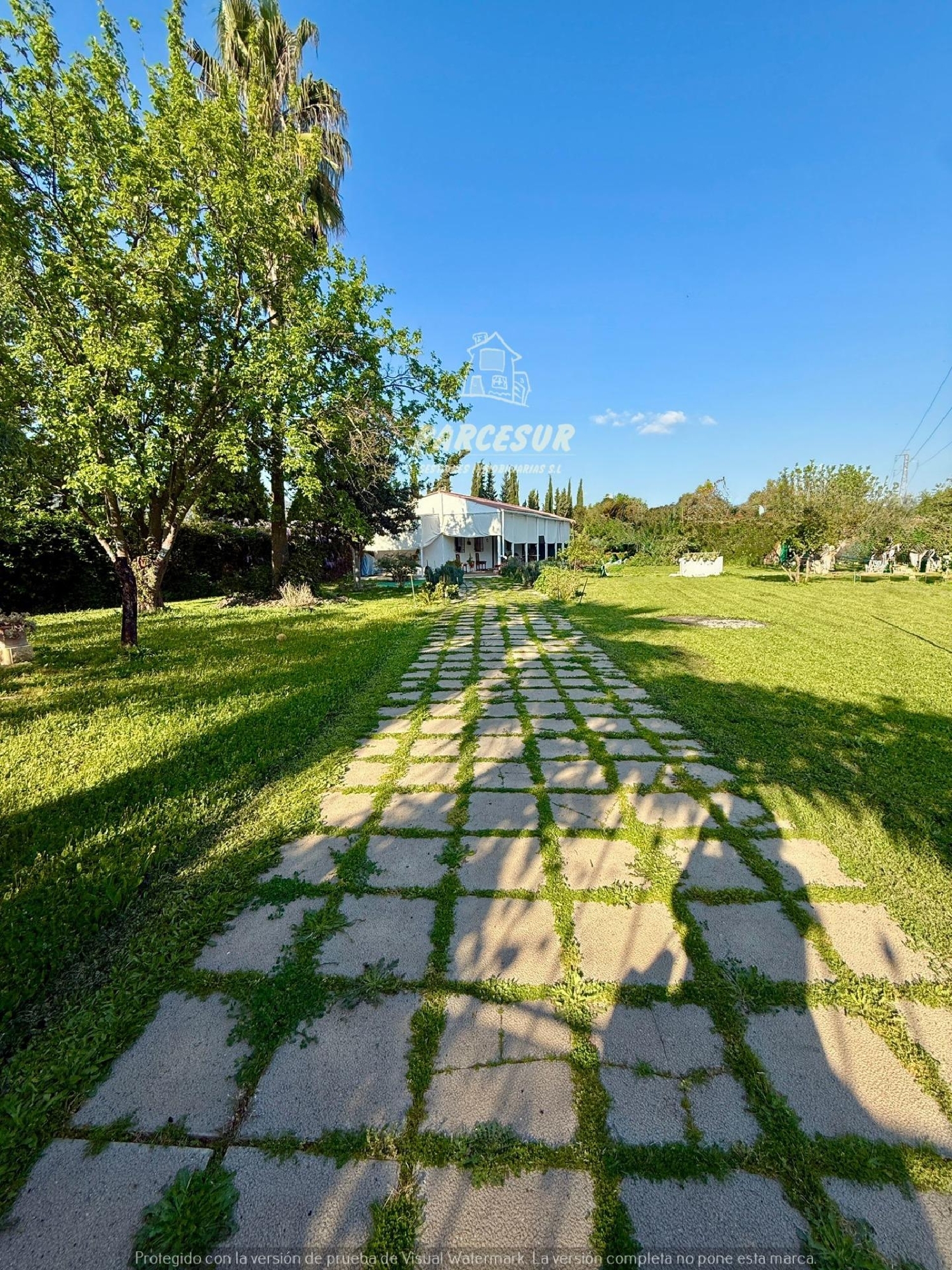  en venta finca rústica Villafranca De Córdoba Alto Guadalquivir 2