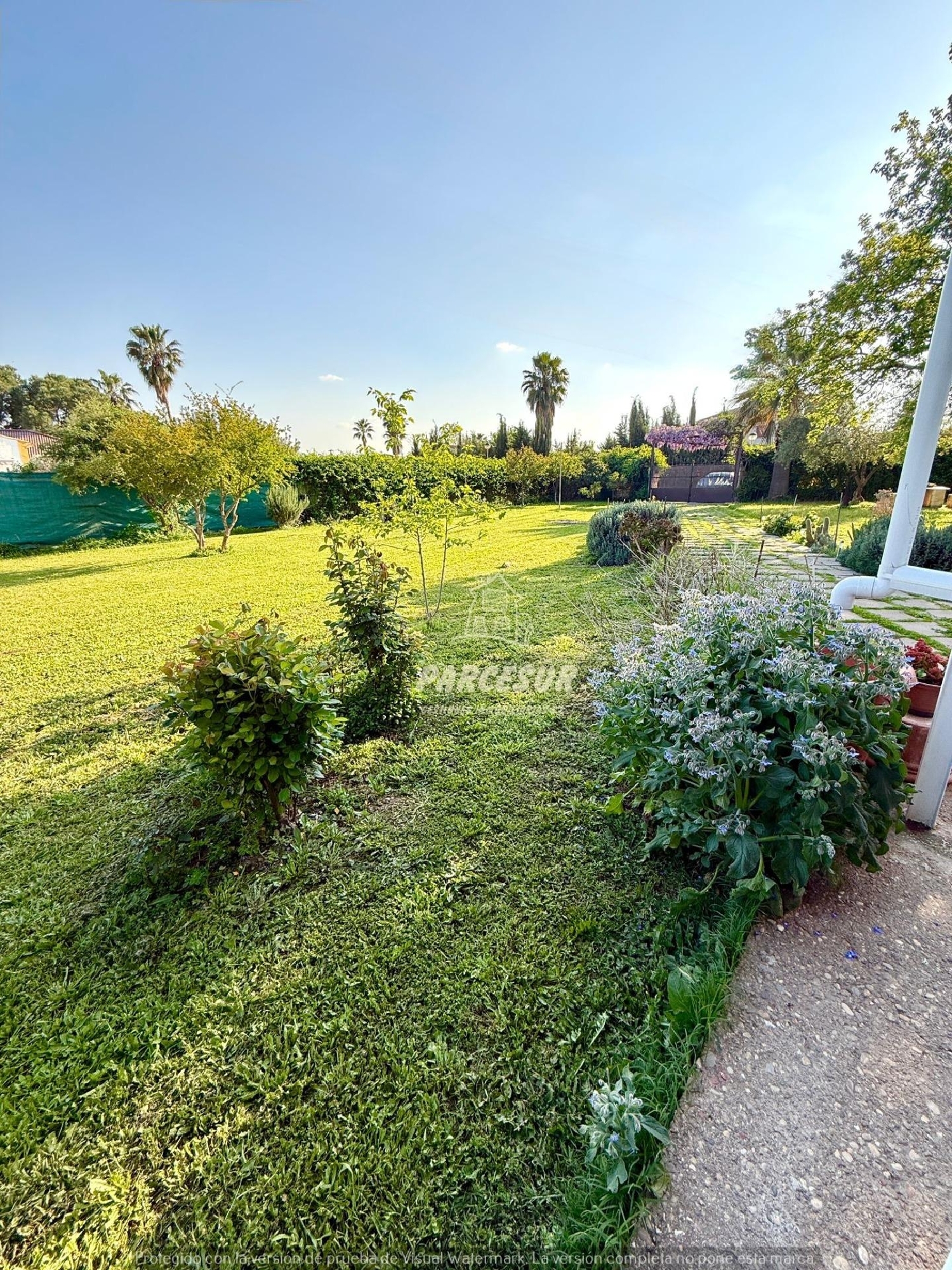  en venta finca rústica Villafranca De Córdoba Alto Guadalquivir 5