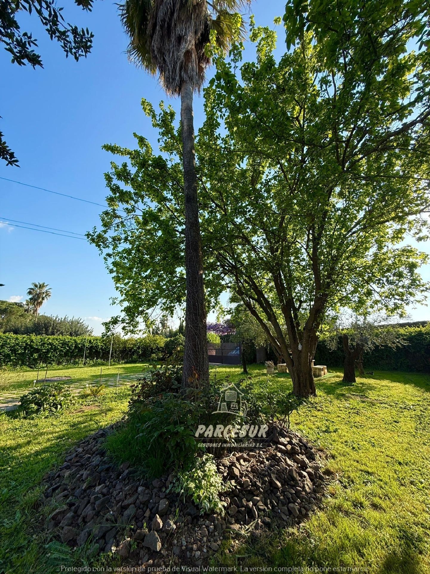  en venta finca rústica Villafranca De Córdoba Alto Guadalquivir 3