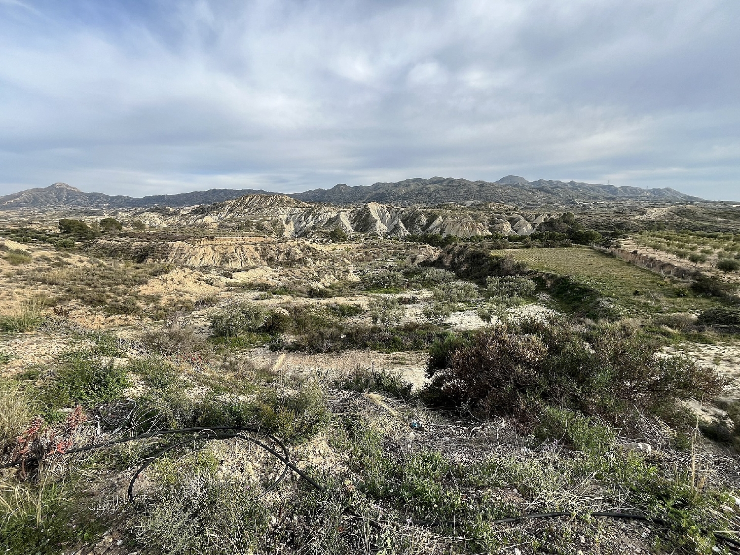  kaufen Haus Abanilla Oriental 4
