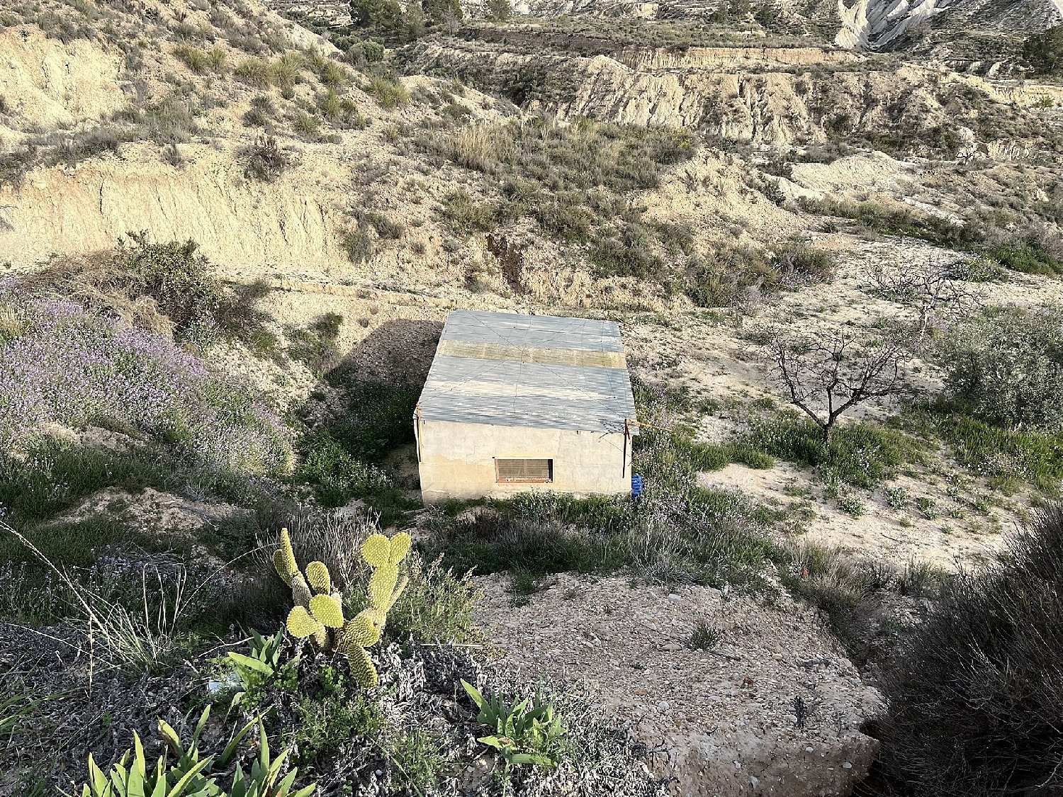  kaufen Haus Abanilla Oriental 7