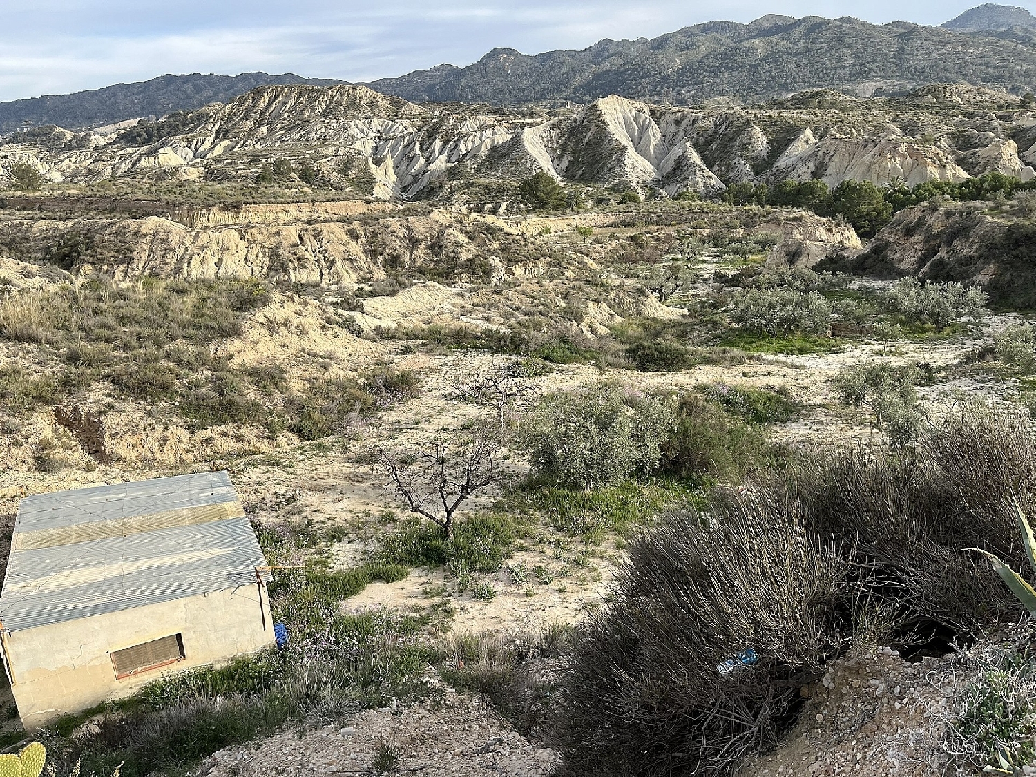  kaufen Haus Abanilla Oriental 6
