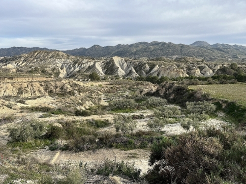 Abanilla Oriental Haus Bild 6358046