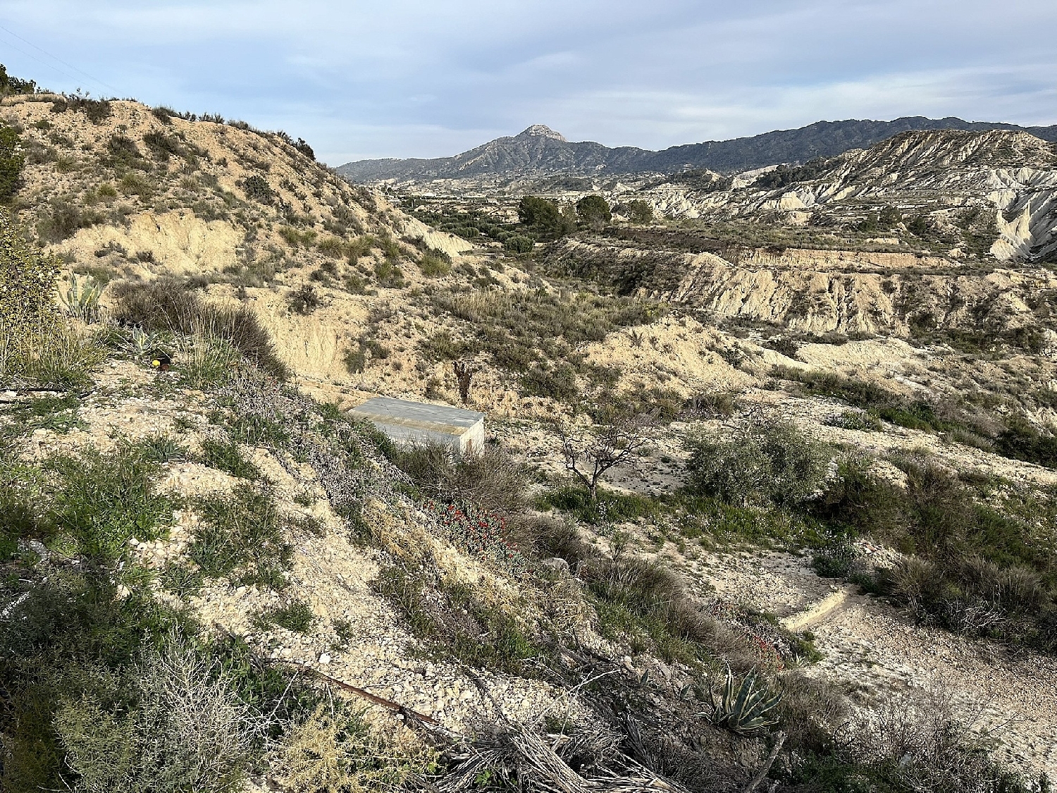 kaufen Haus Abanilla Oriental 5