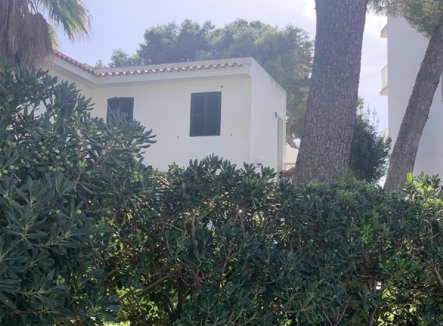  kaufen Haus Alaior Alaior 1