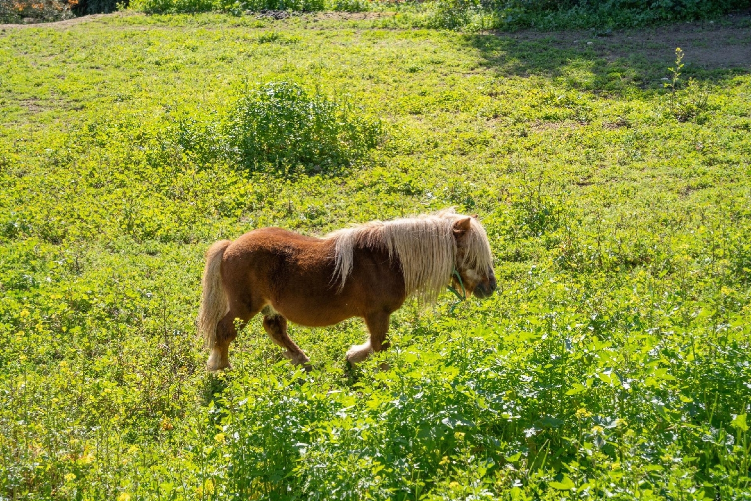  till salu hus Albuñuelas Valle De Lecrín 8