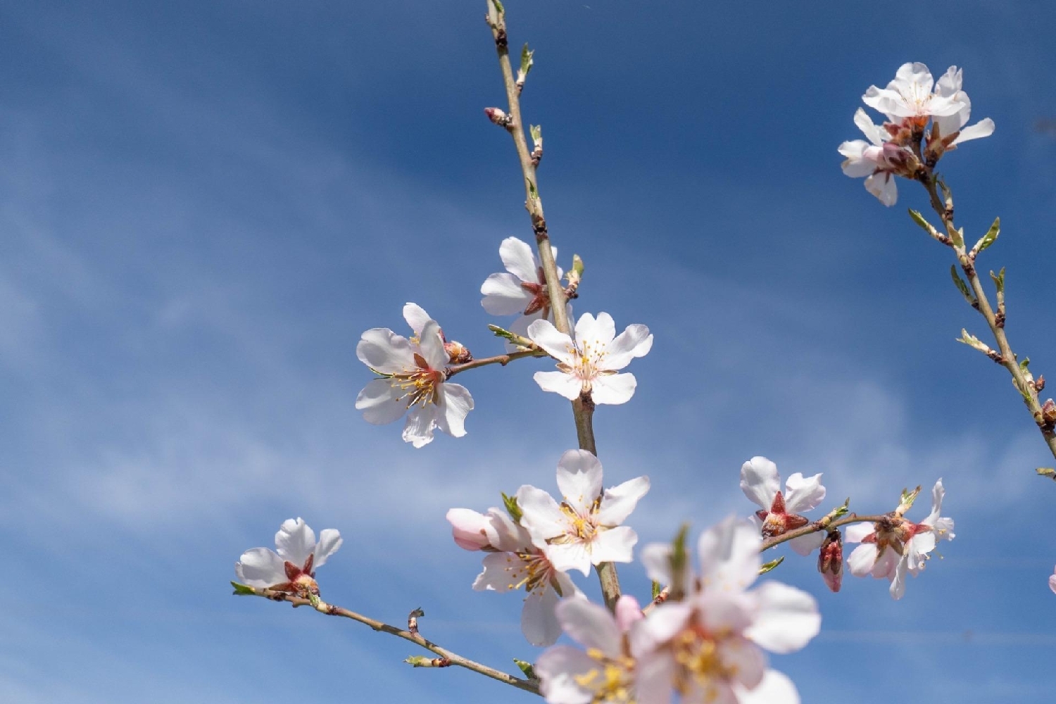  till salu hus Albuñuelas Valle De Lecrín 7