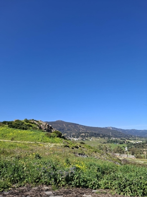 Algeciras Casco Antiguo Campo De Gibraltar Haus Bild 6357081