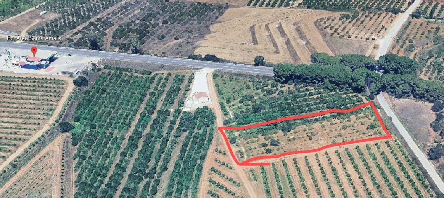  en venta casa Alhaurín De La Torre Valle Del Guadalhorce 2