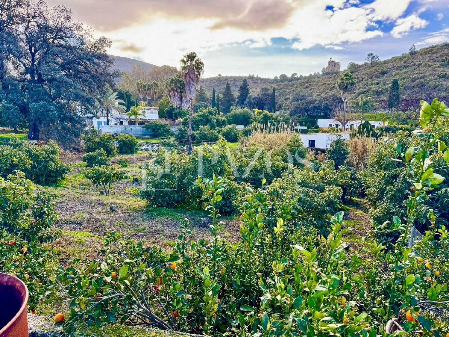  kaufen Haus Alhaurín El Grande Valle Del Guadalhorce 6
