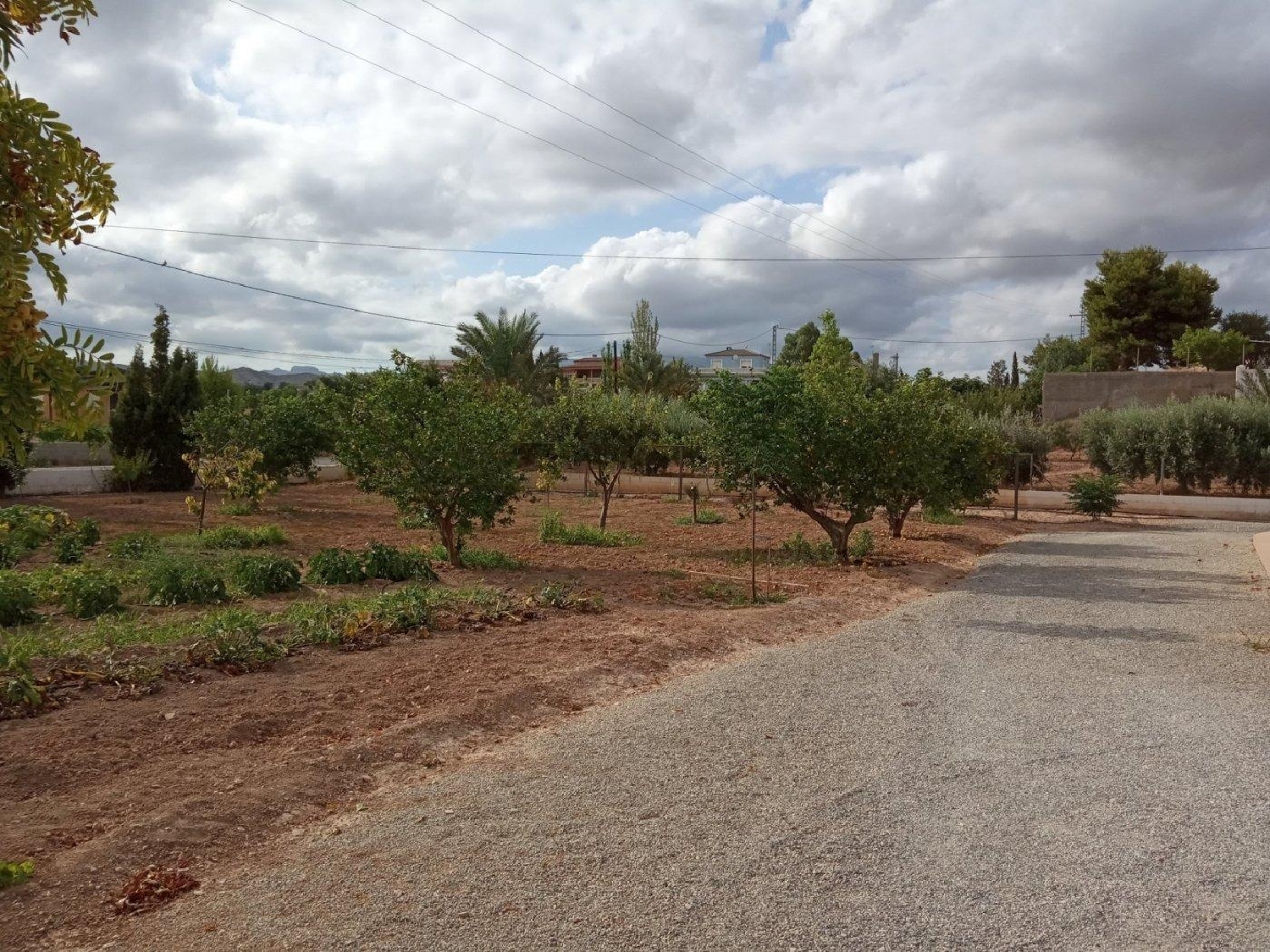  en venta casa Alicante Centro 03001 Alacantí 2