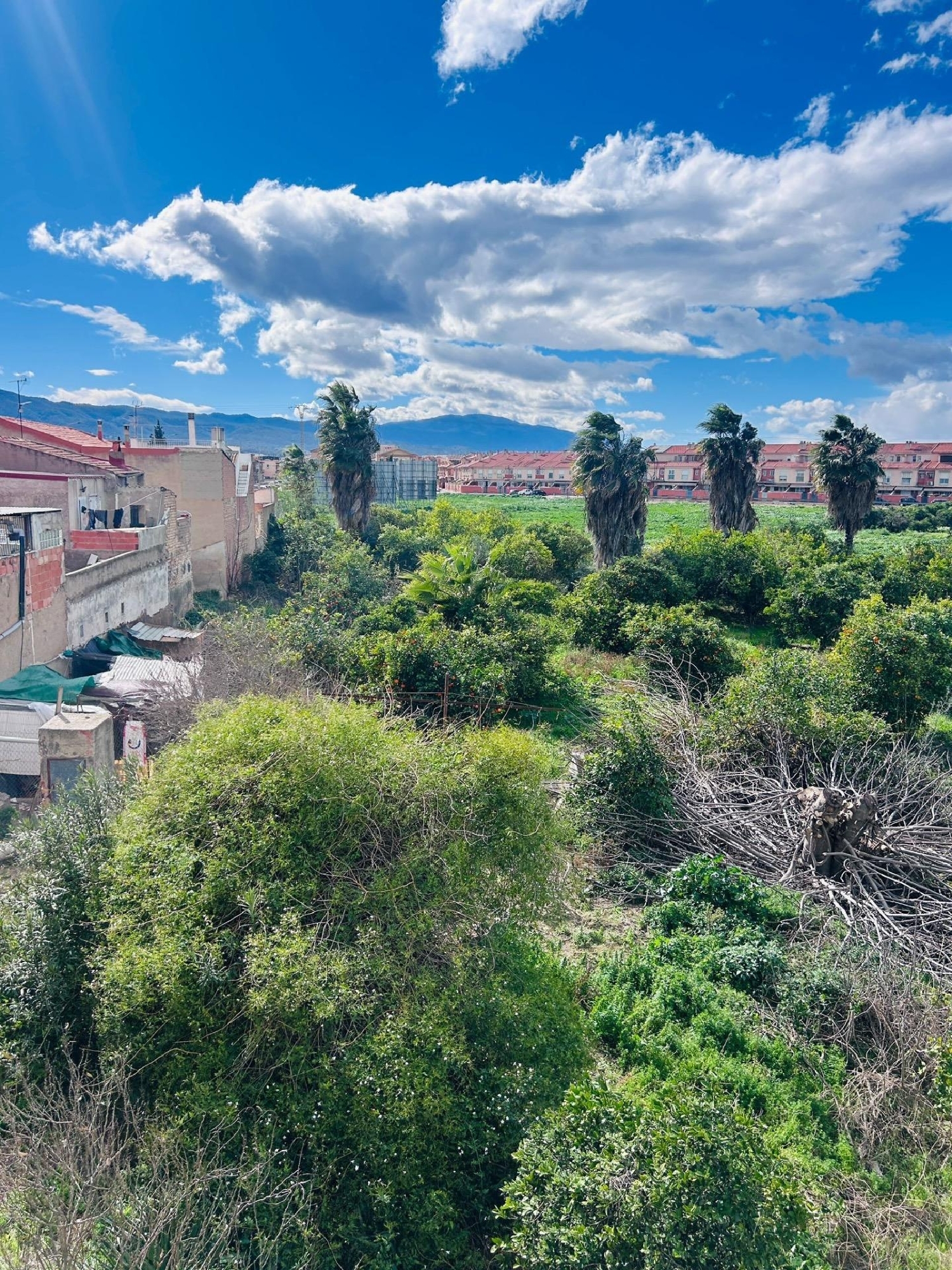  kaufen Haus Aljúcer Huerta De Murcia 2