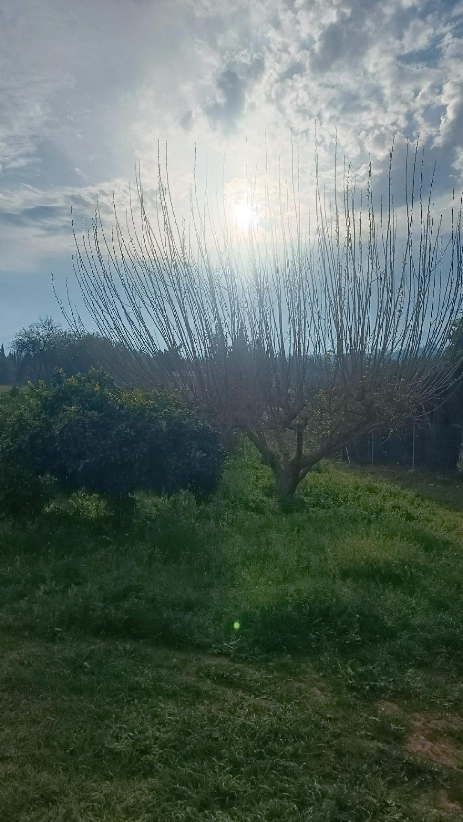  à vendre maison Ampliacion De Cartama Valle Del Guadalhorce 6